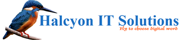 Halcyon IT Solutions